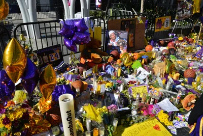 DSC_7186 (Large).JPG